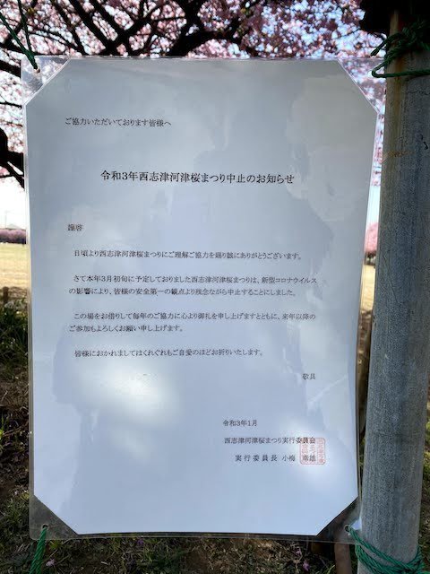 お祭り中止.jpg
